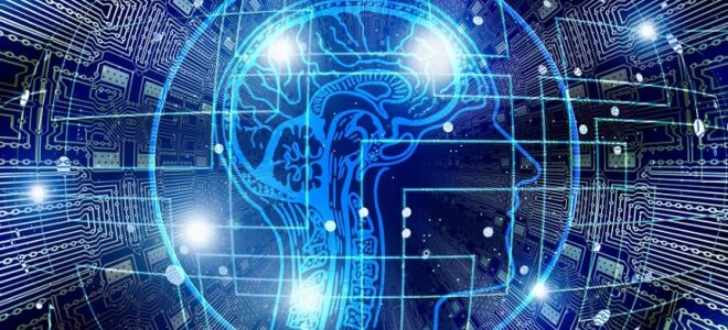 Мозг — интересные факты